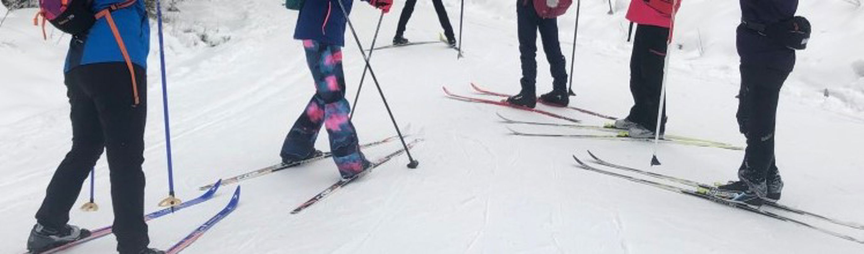 skidag forside skidag forside