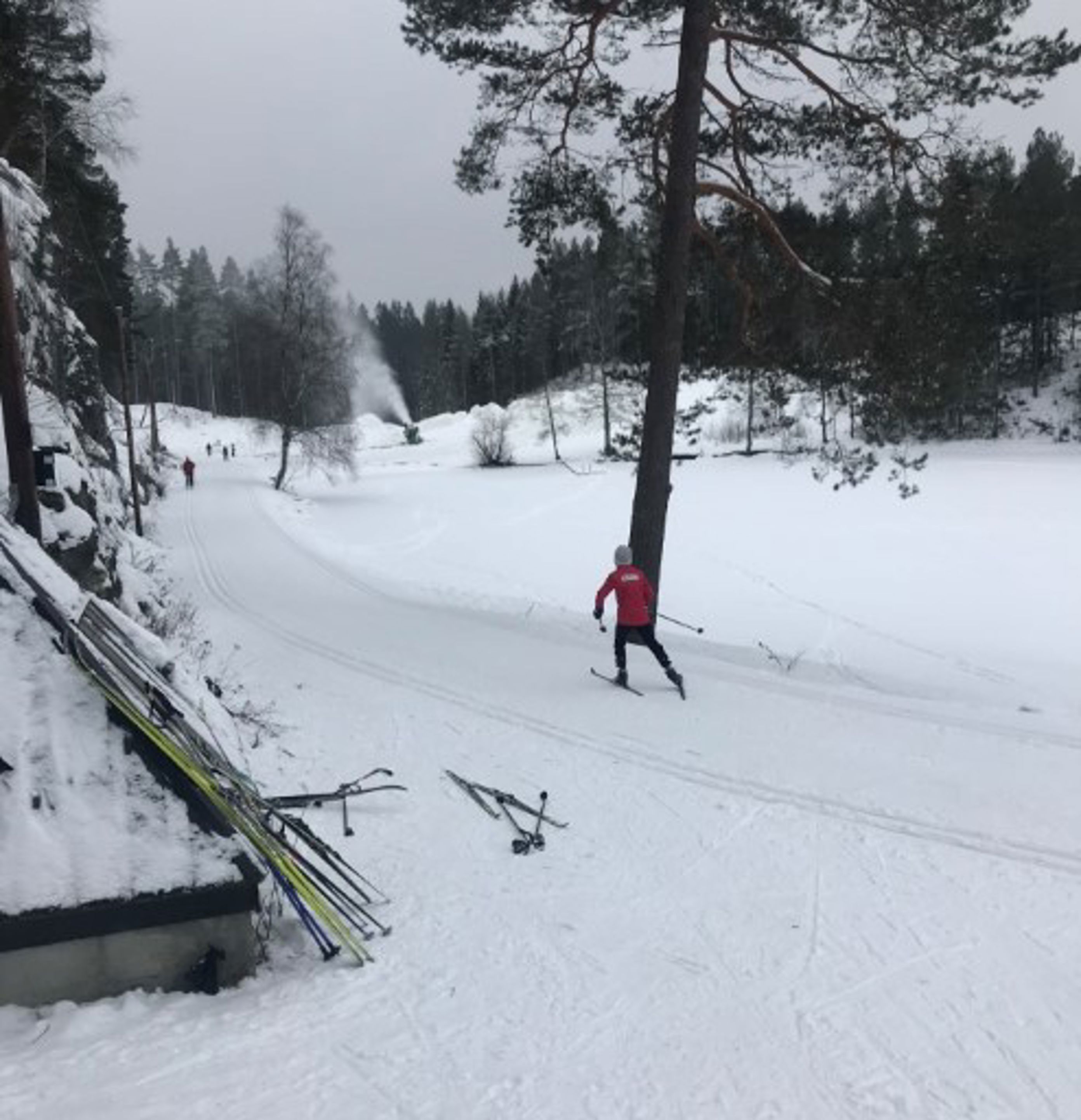 skigym trinn 4 2 skigym trinn 4 2