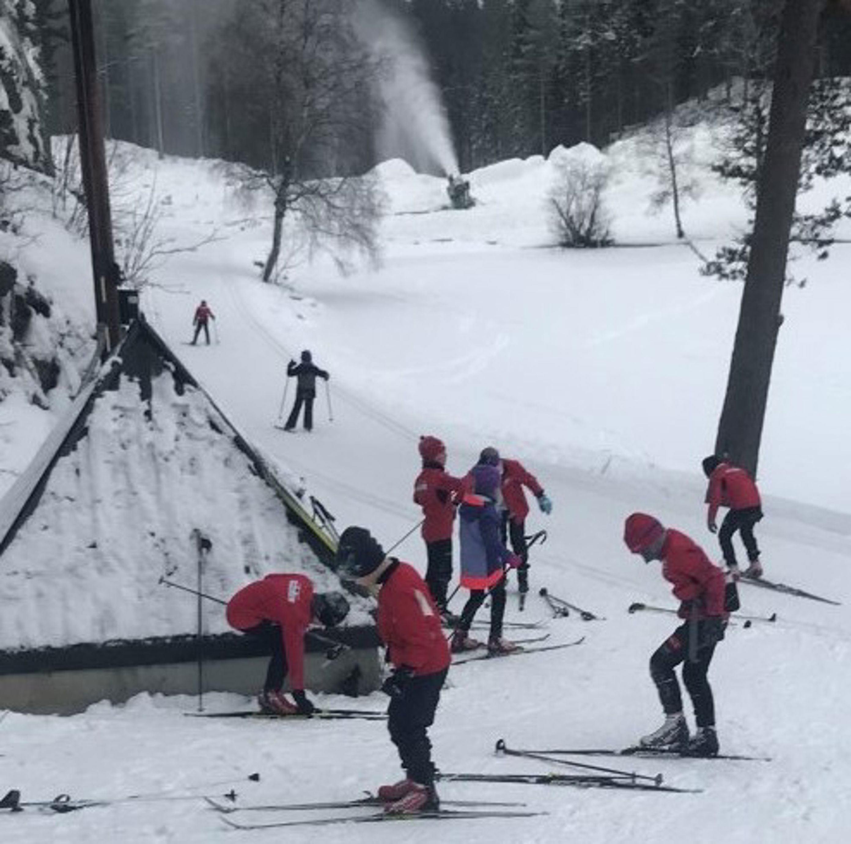 skigym trinn 4 3 skigym trinn 4 3