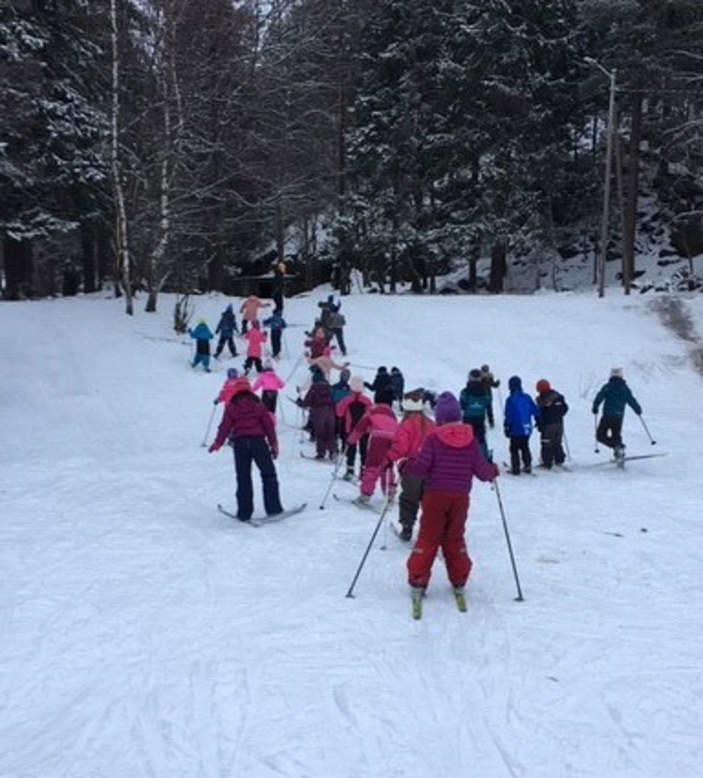 skiskole trinn 1 1 skiskole trinn 1 1