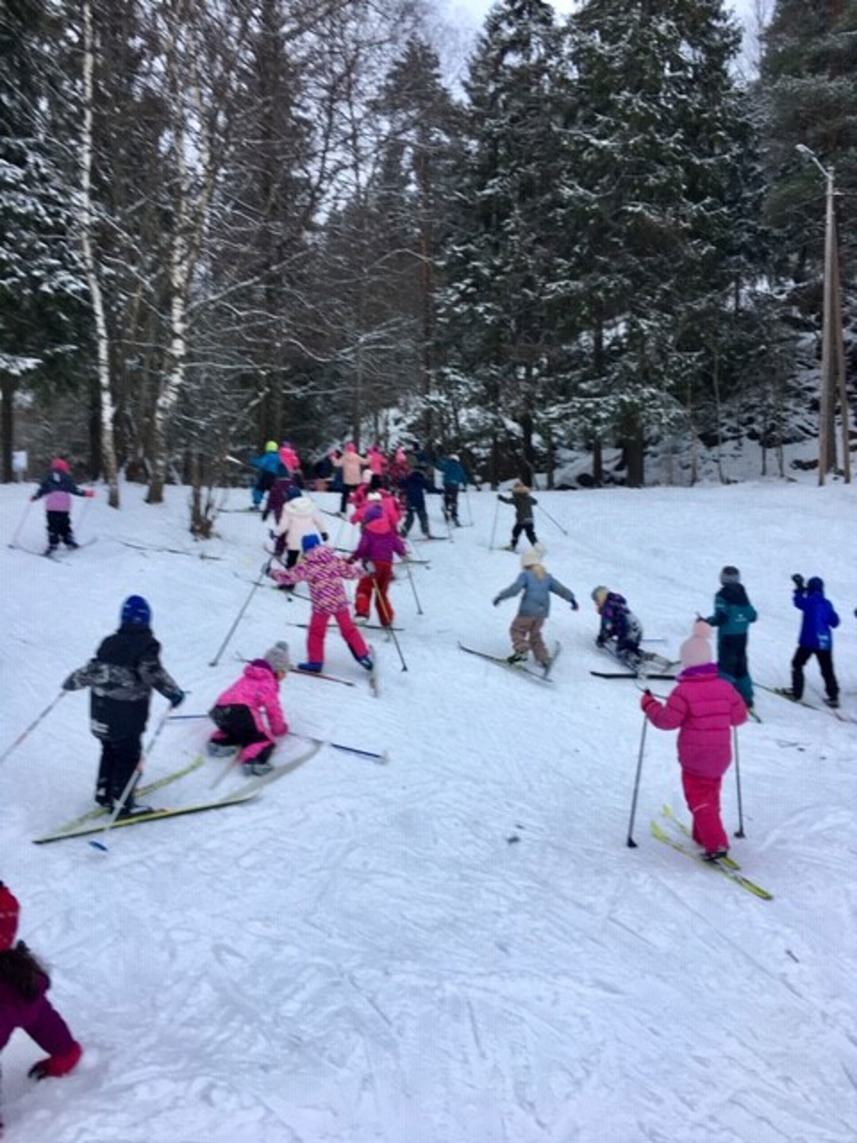 skiskole trinn 1 2 skiskole trinn 1 2